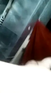 Show Webcam de BulbasaurIsmettv
