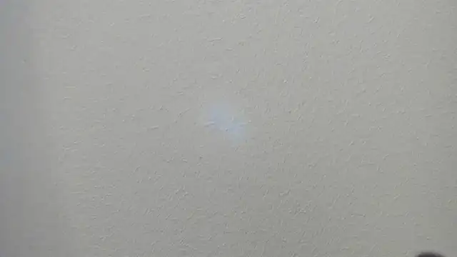 Ana_star_ 라이브 XXX 채팅