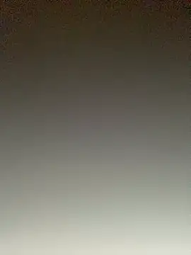 TheDime's Webcam Show