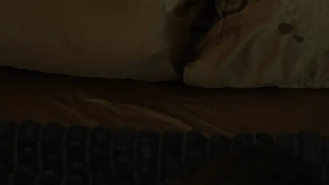 MagicPeachh_'s Live XXX Chat