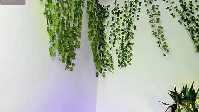 Ariana_Spring live XXX chat