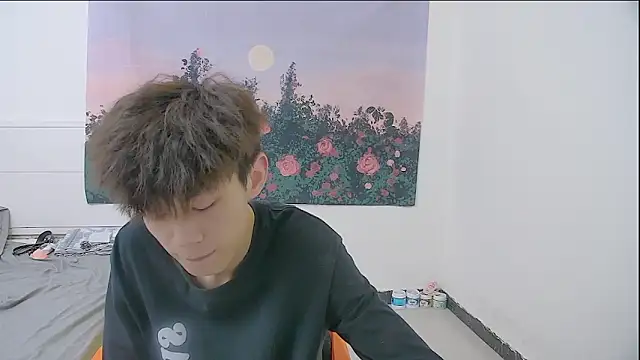 paofu-001n Webbikameraesitys