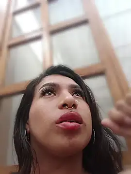 MeelFox Live XXX-Chat
