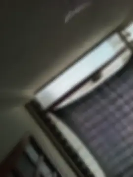MeelFox 웹캠 쇼