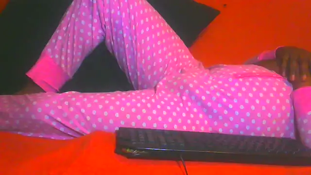 Show webcam de TransCya2024