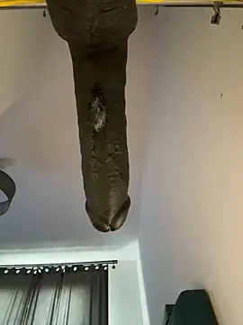 Jaropol 웹캠 쇼
