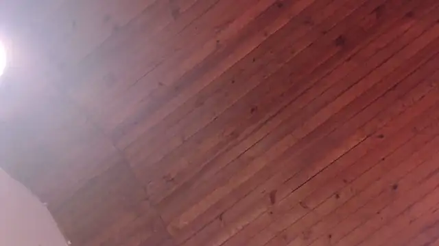 ArturoCardona_ Pertunjukan Webcam