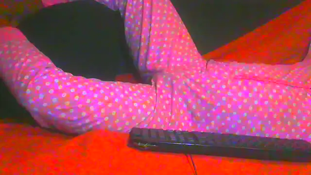 Show Webcam de TransCya2024