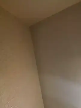 Show webcam de TheGoldenBoldy321