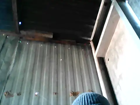 I_L_P21 网络视讯表演