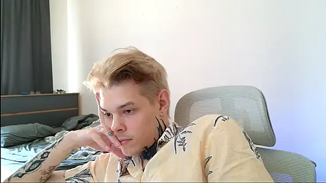 DENIS_HERE: вебкам-шоу