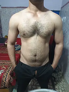 Secretfantasyboy 网络视讯表演
