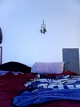 Karebearz1n Webbikameraesitys