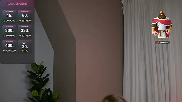 NextDoorMian Webbikameraesitys