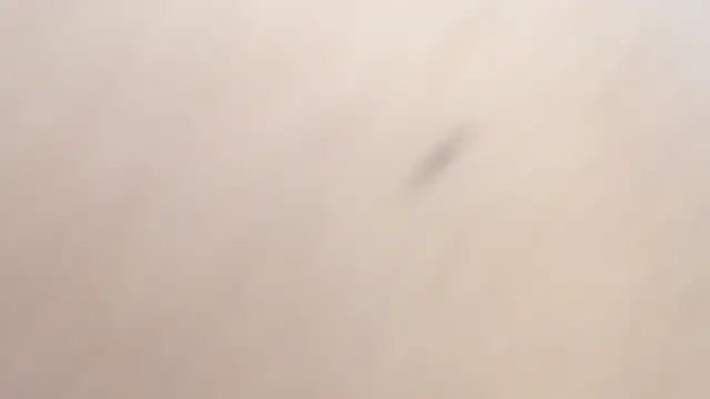 Živý XXX chat AlejandraScott