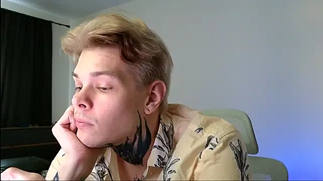Show Webcam de DENIS_HERE