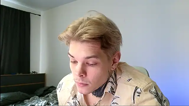 DENIS_HERE Show Webcam