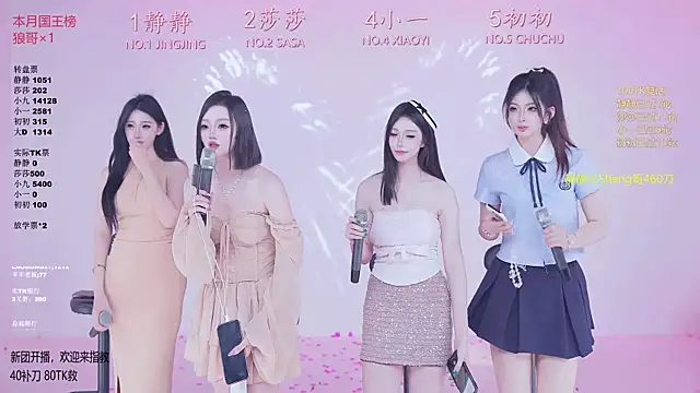 TY-002 网络视讯表演
