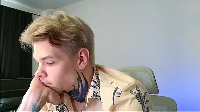 DENIS_HERE Show Webcam