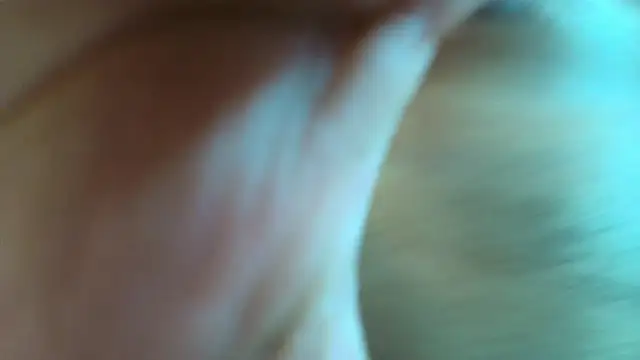 TarlyWho 即時 XXX 聊天