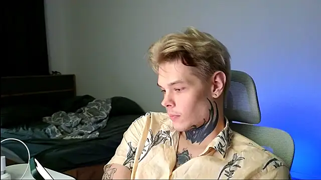 DENIS_HERE Show Webcam