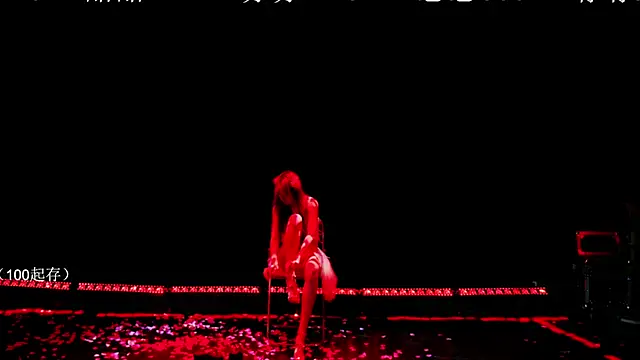 KG-888 网络视讯表演