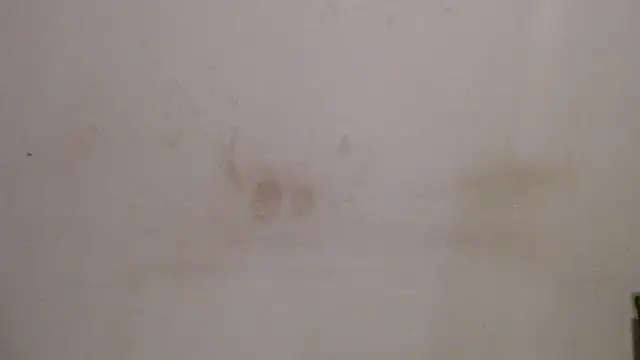xSATIVAx 라이브 XXX 채팅