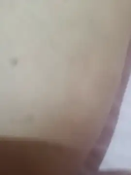 Lioste webcam show
