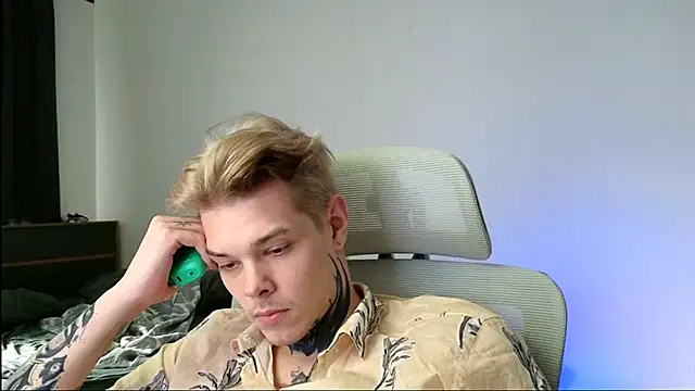 DENIS_HERE: вебкам-шоу