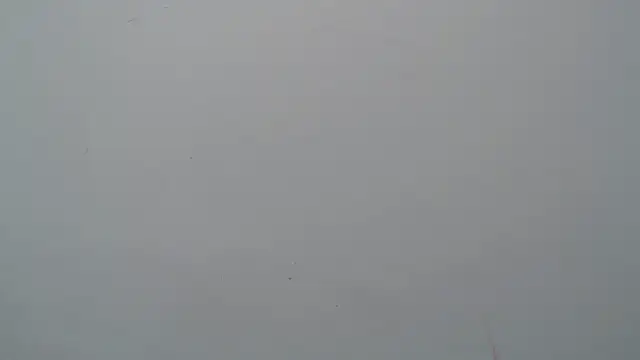 amarantha_rossn Webbikameraesitys