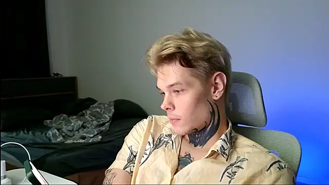 DENIS_HERE Show Webcam
