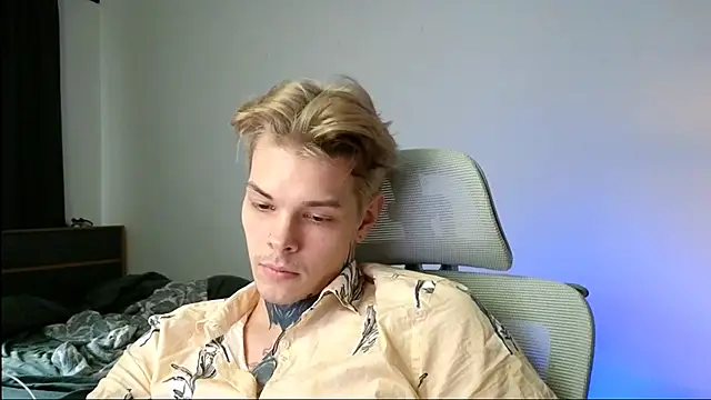 DENIS_HERE Show Webcam