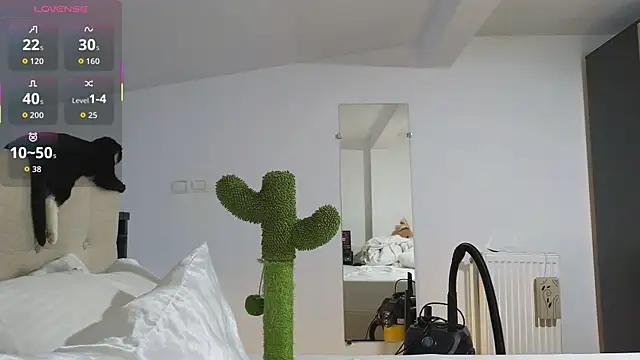 RyanStorm_ Chat XXX live