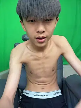 Show webcam de DD-101