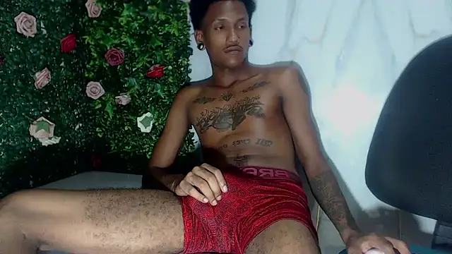 Show de ManSant na webcam