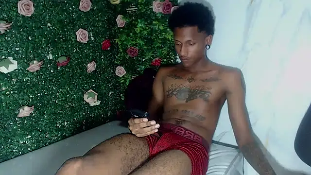 ManSant's Webcam Show