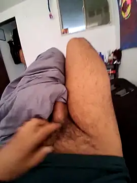 prototipoA45 webcam show