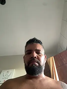 Chat +18 de adgato ao vivo