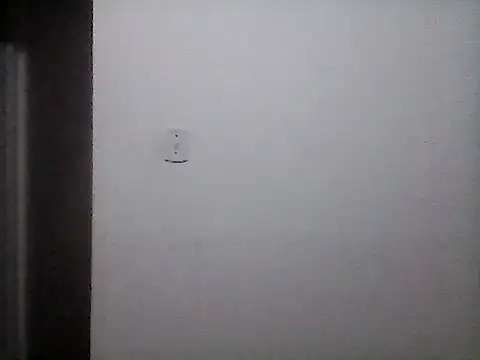 stallony Webcam Show