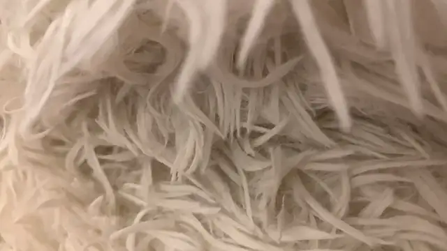 Barbara_Mur – Naživo XXX chat