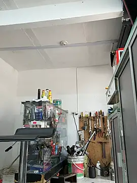 Chat +18 de Paul22cm- ao vivo