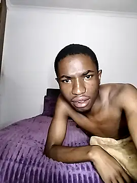 Breezyvikkyn Webbikameraesitys
