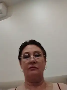 Show Webcam de SalientClean