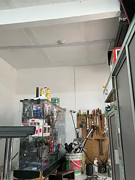 Paul22cm-n Live XXX chat