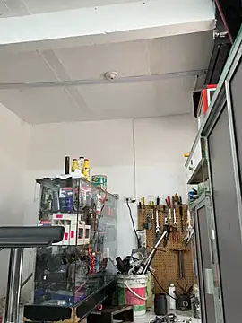 Paul22cm- Chat XXX in diretta