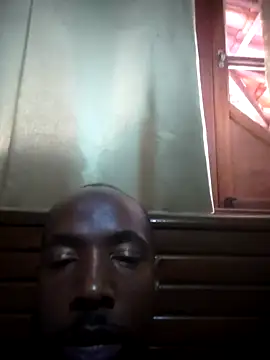 negulin webcam show