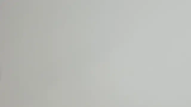 AngelxFerrer_ Obrolan Langsung XXX