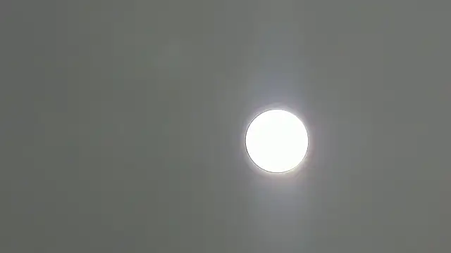 AngelxFerrer_'s Live XXX Chat