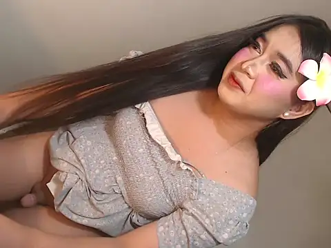 عرض كام camelastarsairo