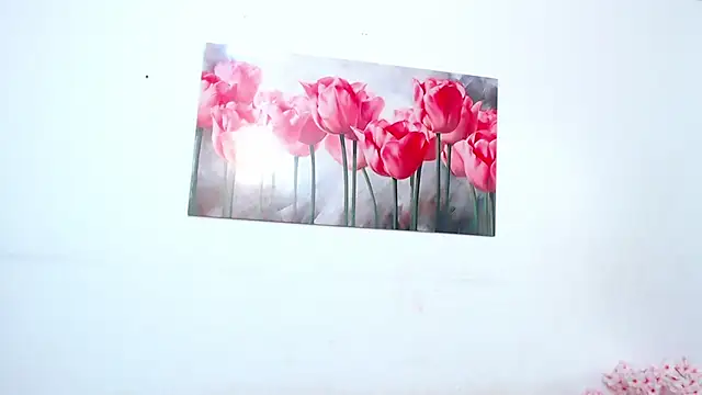 pinky_f00x 即時 XXX 聊天